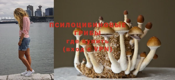 кокаин перу Гусь-Хрустальный