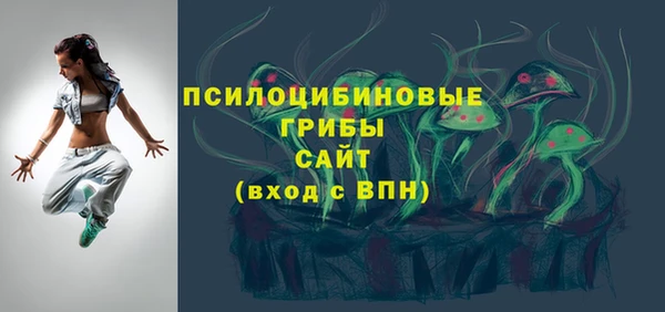 альфа пвп Гусиноозёрск