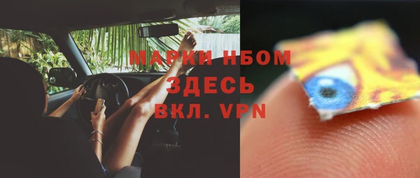 прущие грибы Гусев