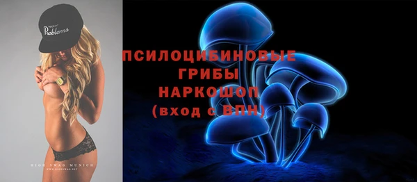 прущие грибы Гусев