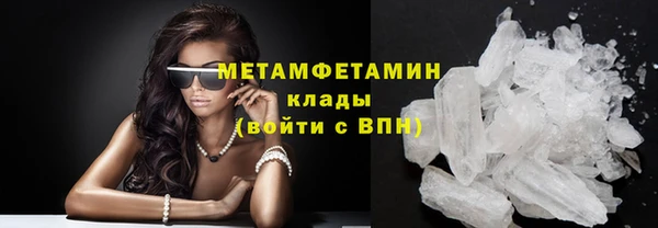 прущие грибы Гусев
