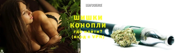 альфа пвп Гусиноозёрск