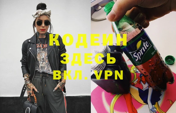 прущие грибы Гусев