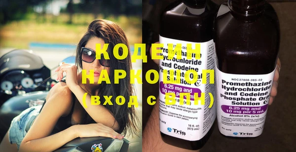 прущие грибы Гусев
