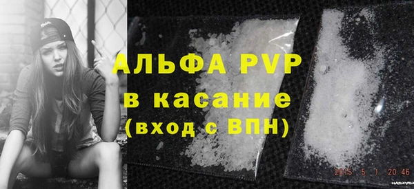 прущие грибы Гусев
