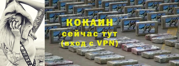 прущие грибы Гусев
