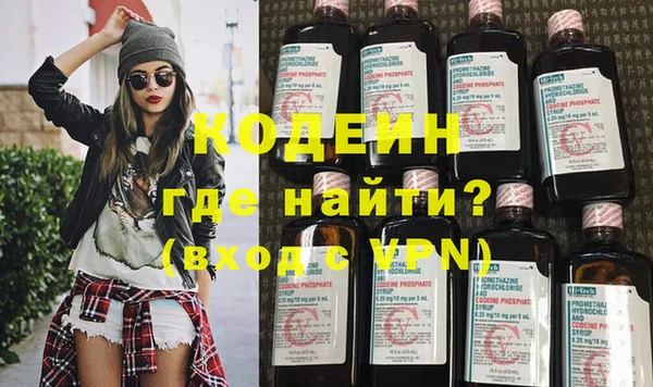 прущие грибы Гусев