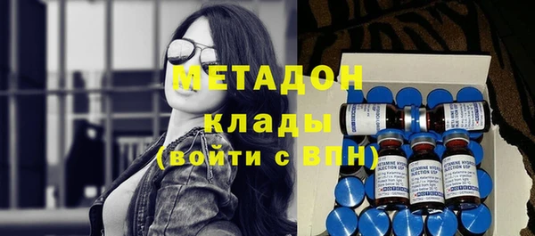 прущие грибы Гусев