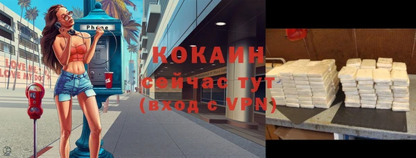 прущие грибы Гусев